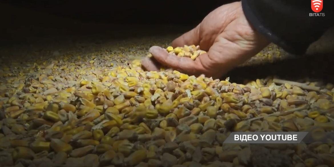 Україна експортуватиме зерно через Польщу та Румунію