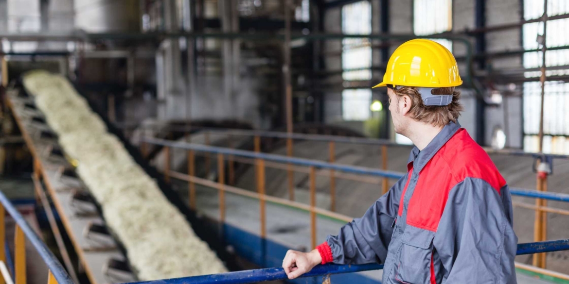 Українські заводи вже виробили понад мільйон тонн цукру Вінниччина - лідер виробництва