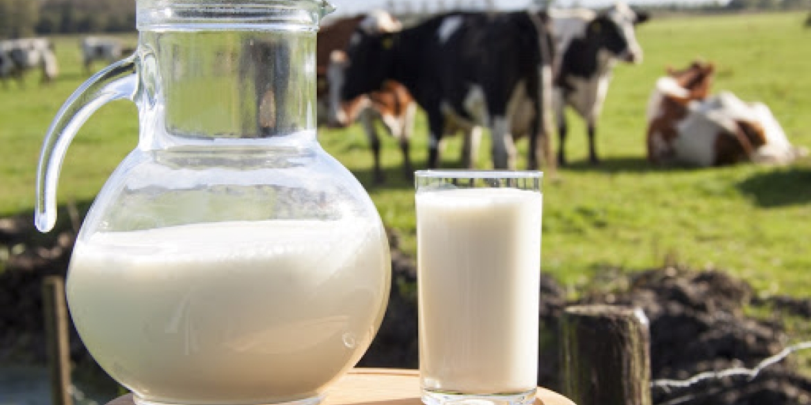Вінницька область утримує друге місце зв виробництвом молока в країні