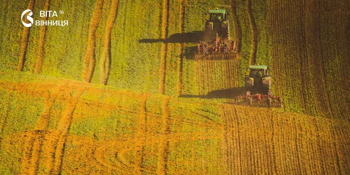 Урожайність зернових на Вінниччині впала на 8 центнерів з гектара як тривають жнива