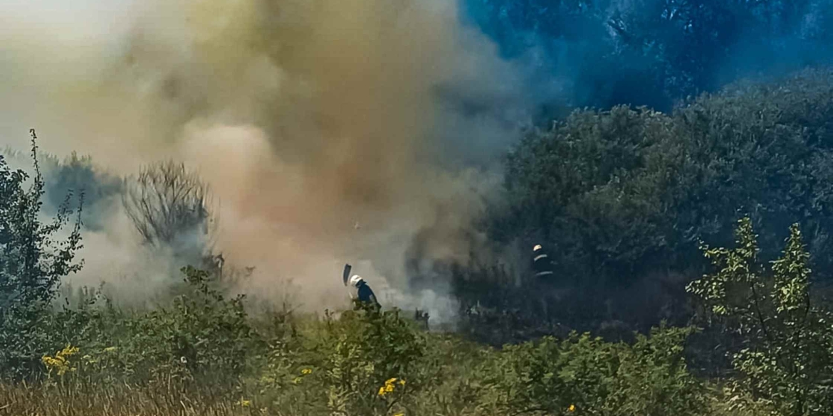 В екосистемах Вінниччини ліквідували п'ять пожеж за добу