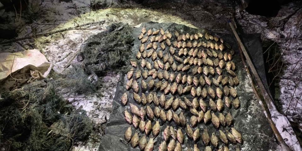 В Іллінецькій громаді браконьєр наловив риби на майже 300 тис. грн