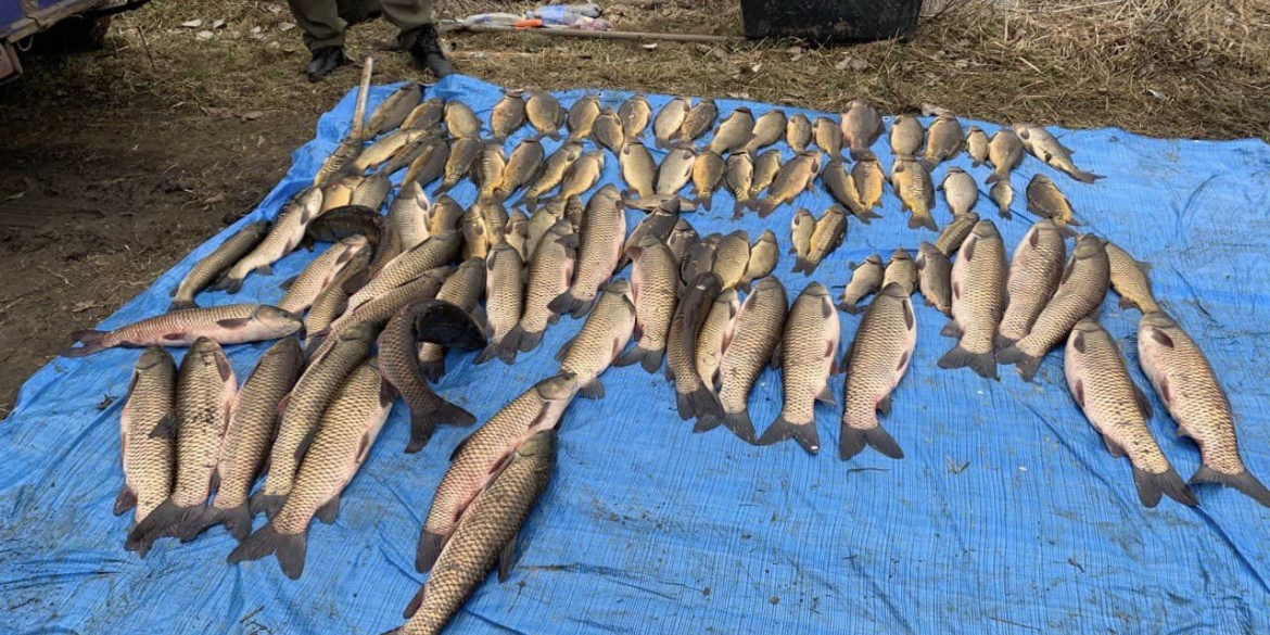 Два браконьєри в Іллінецькій громаді виловили риби на понад 1,4 млн грн
