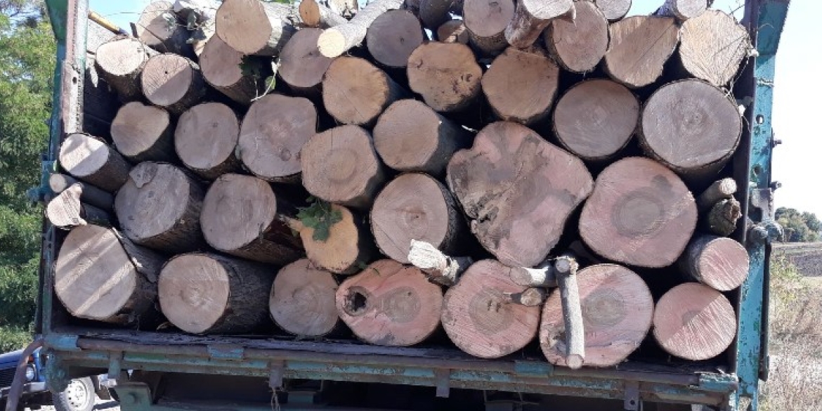 В Калинівці притягнули до відповідальності чоловіка за перевезення деревини без бірок