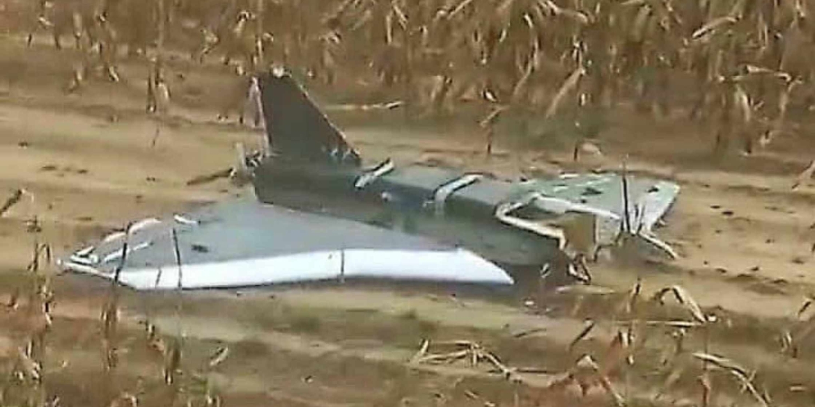 В кукурудзі на Вінниччині аграрії знайшли уламки ворожих дронів та крилатих ракет