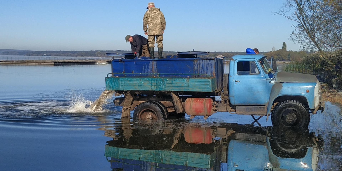 В Ладижинське водосховище випустили вісім тонн товстолоба та білого амура