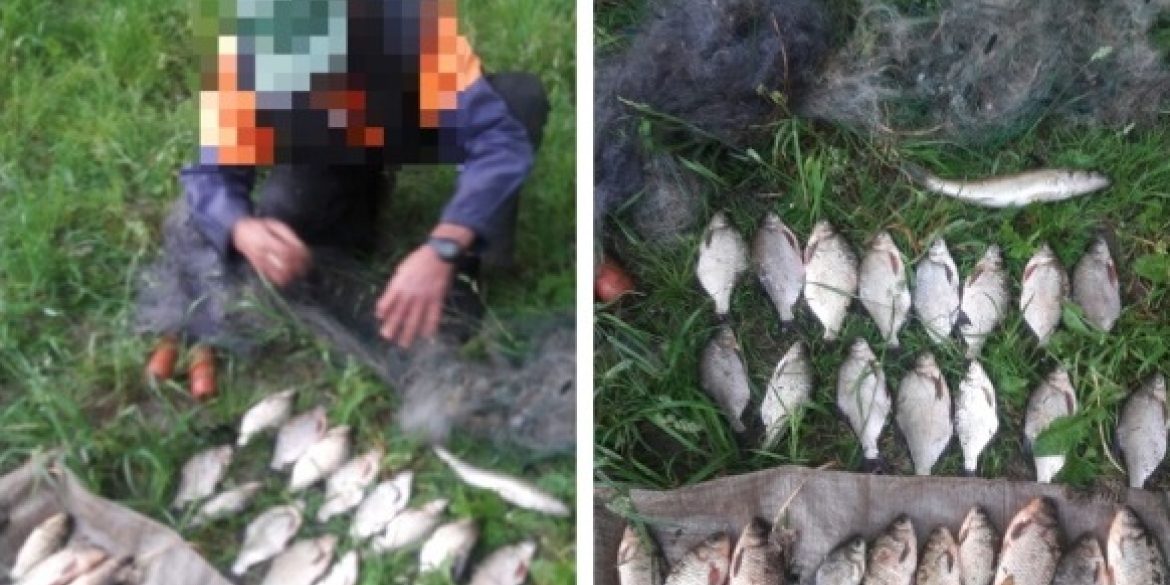В Лука-Мелешківській громаді чоловік сітками наловив риби на понад 44 тис. грн