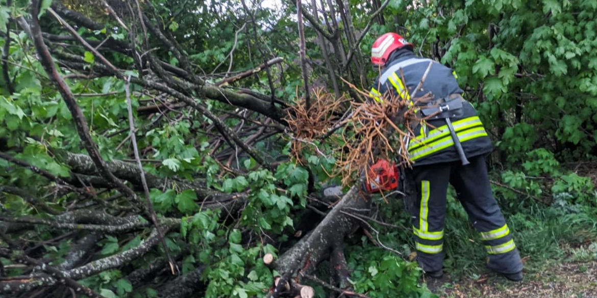 В Липовецькій та Погребищенській громадах ліквідували наслідки негоди