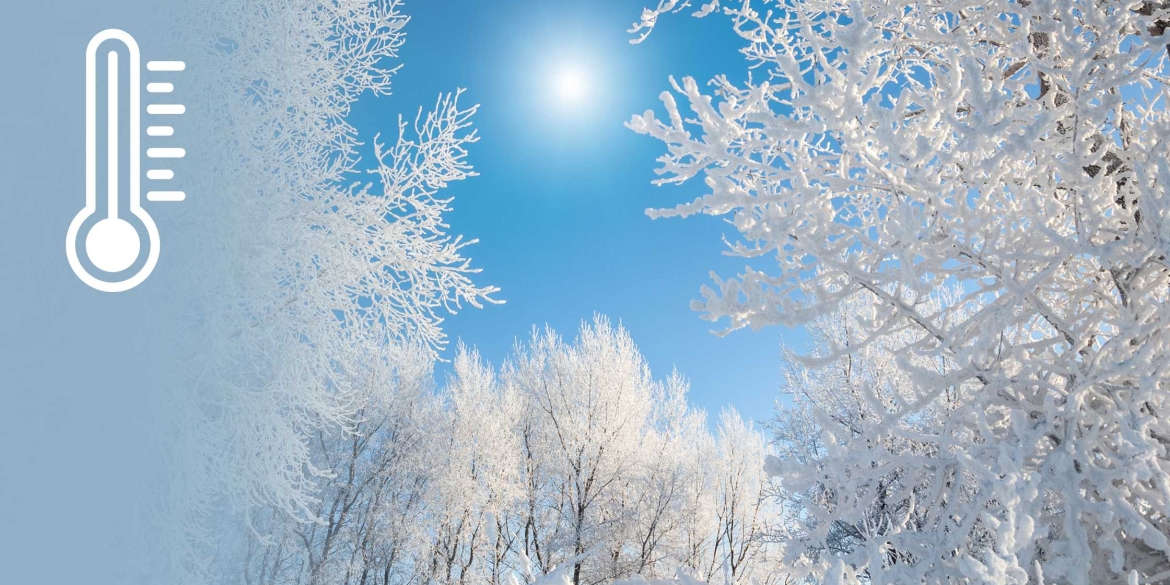 В останній день року у Вінниці буде сніжна та морозна погода