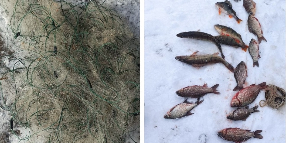 В Сутисківській громаді чоловік сіткою наловив риби на понад 30 тис. грн