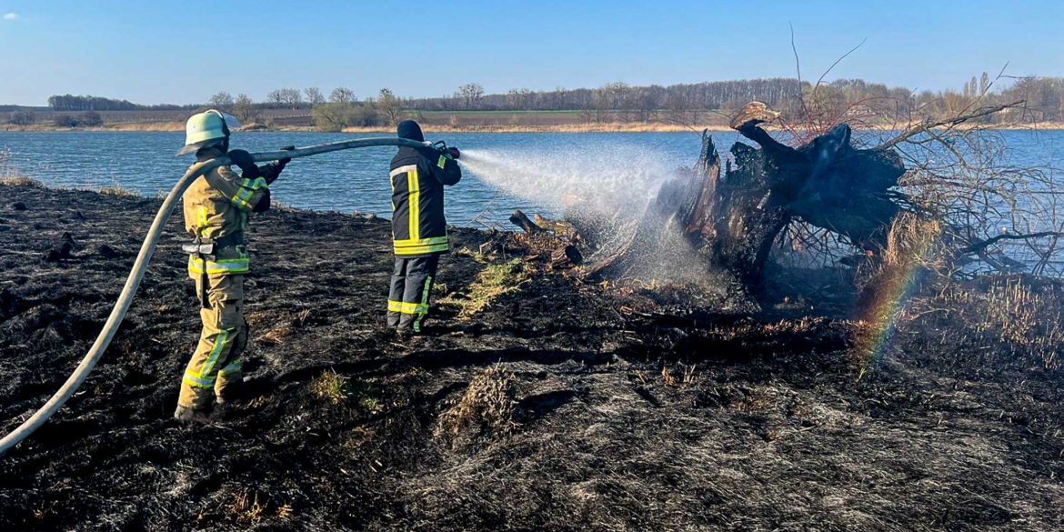 В Тульчинській громаді вигоріли п’ять гектарів землі