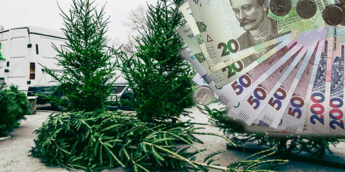 В Україні озвучили вартість різдвяних ялинок ціни у регіонах різняться
