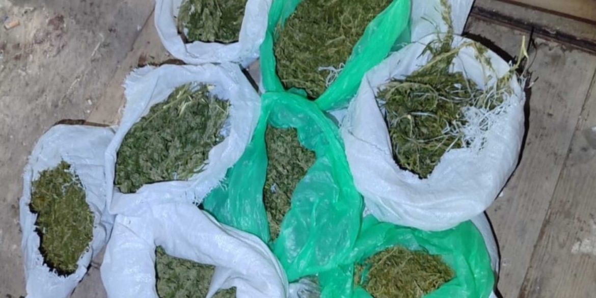 В жительки Тульчинського району вилучили 700 грамів канабісу