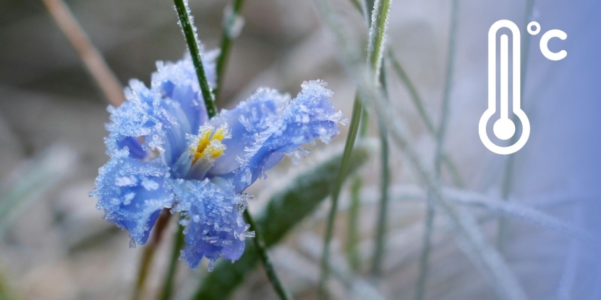 Від 0 до -5 квітень готує вінничанам «крижаний» погодний сюрприз у ніч на п'ятницю