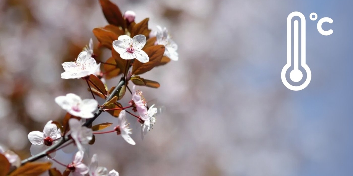 Від похмурої суботи до морозного понеділка метеорологи попереджають вінничан про зміну погоди