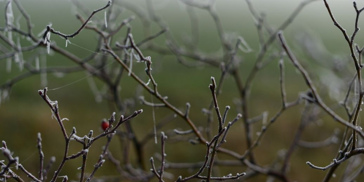 Вінничан попереджають про ожеледицю та невеликий сніг - погода на 20 лютого