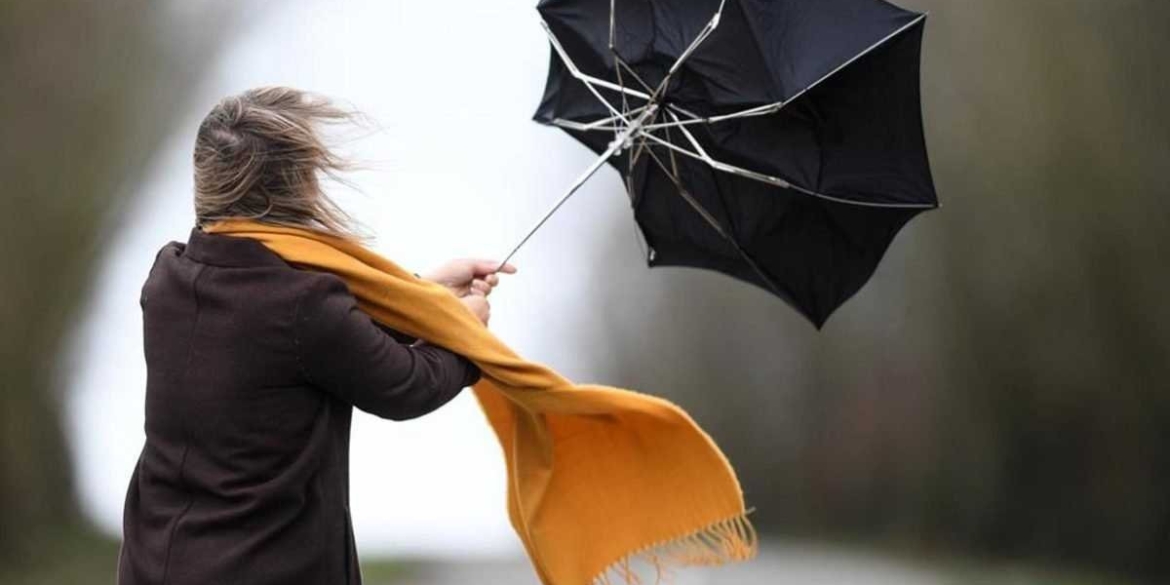 Вінничан попереджають про сильні пориви вітру у п'ятницю, 10 листопада