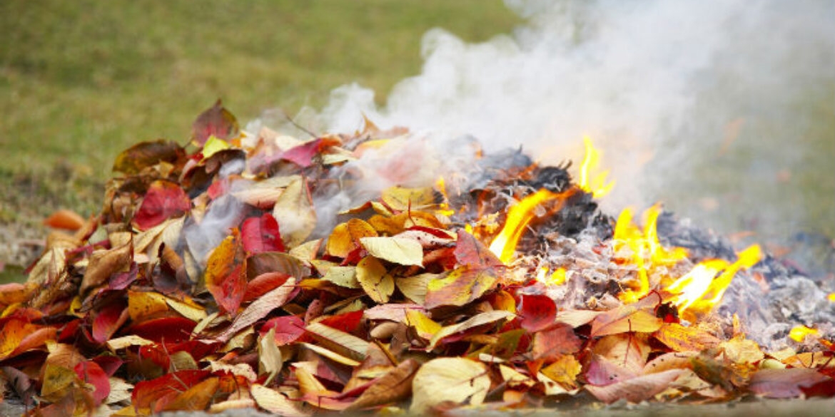 Вінничанам нагадують про заборону спалювання сухого листя та трави