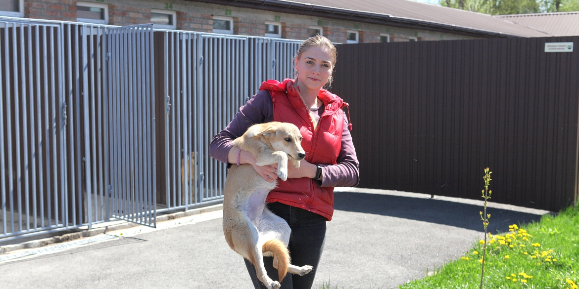 Вінничани можуть взяти додому врятованих собачок з Муніципального притулку