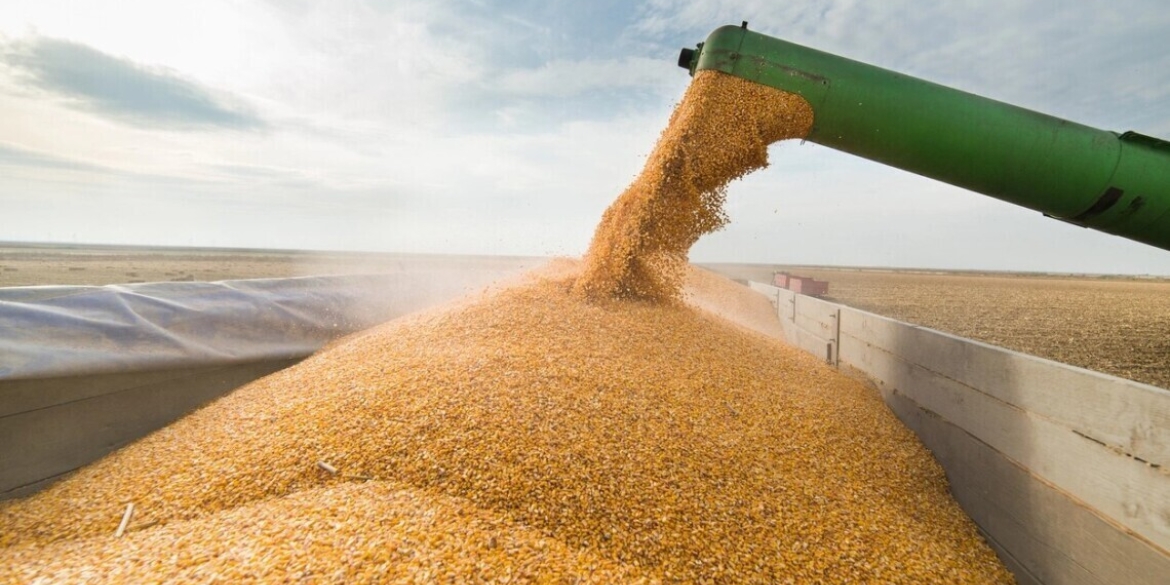 Вінницька область зібрала найбільшу кількість зерна в Україні