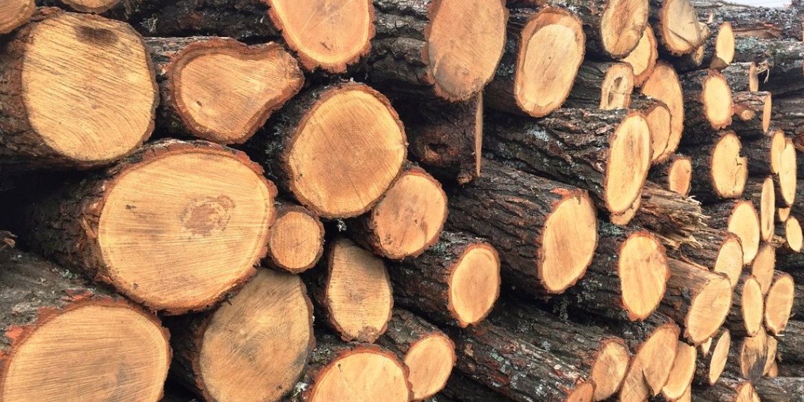 Вінницькі лісівники відправили захисникам 7,4 тис. кубометрів деревини