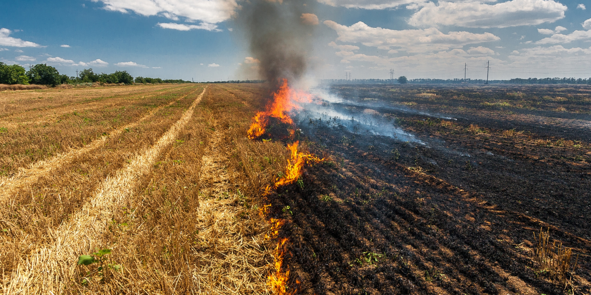 Вінницькі рятувальники ліквідували 12 пожеж в природних екосистемах
