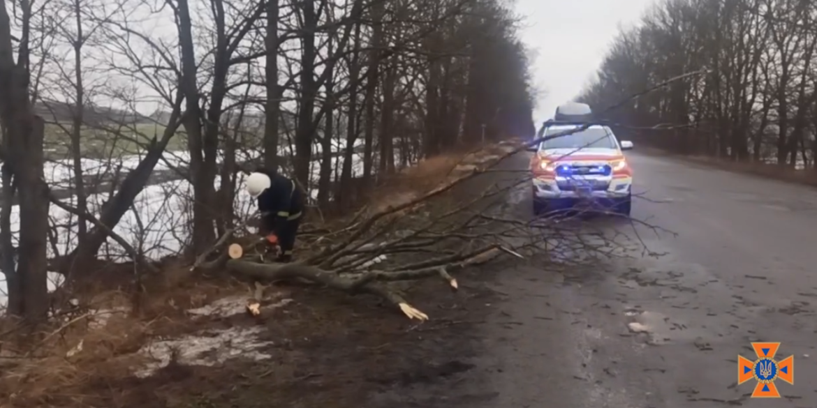 Вінницькі рятувальники прибрали з автошляхів повалені вітром дерева