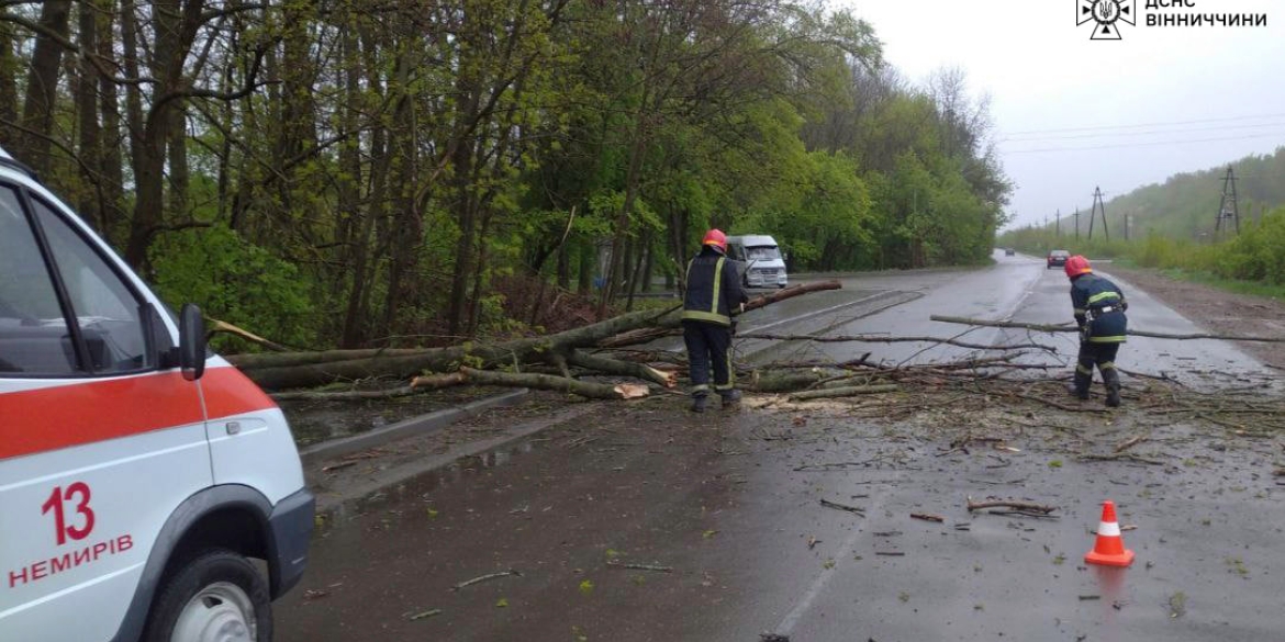 Вінницькі рятувальники виїжджали на виклики, що повʼязані з падінням дерев