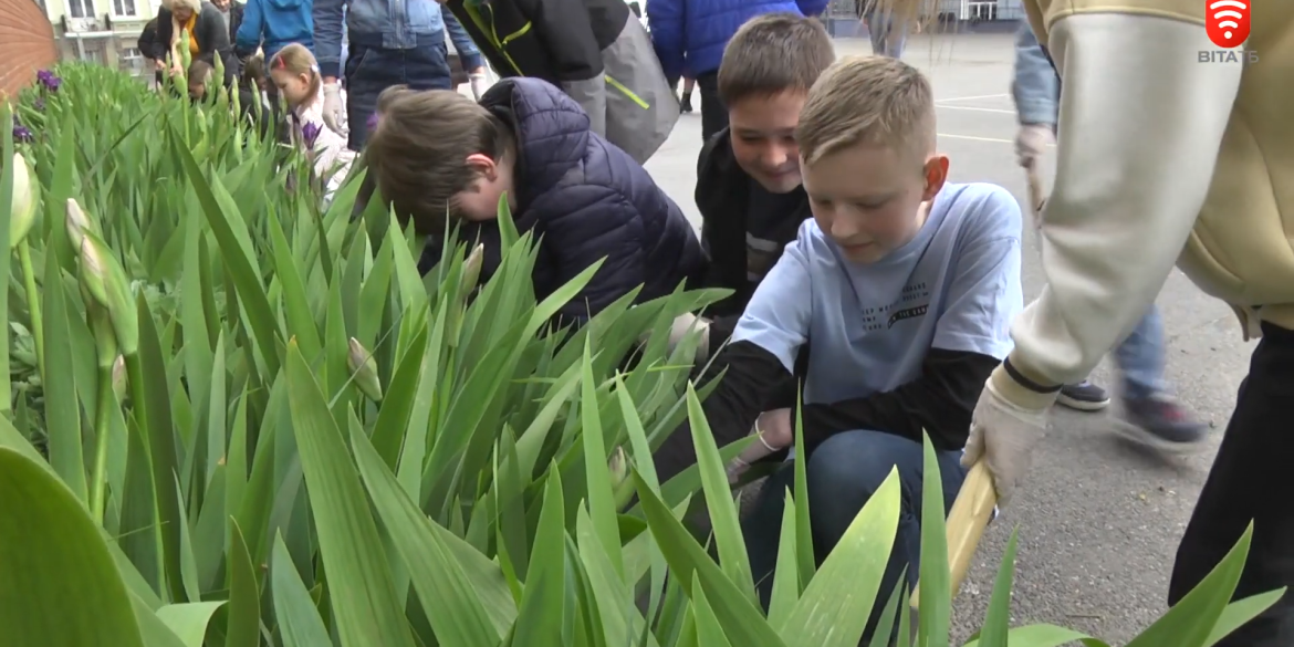 Вінницькі школярі висаджують тюльпани у рамках проєкту «Flowers4School»