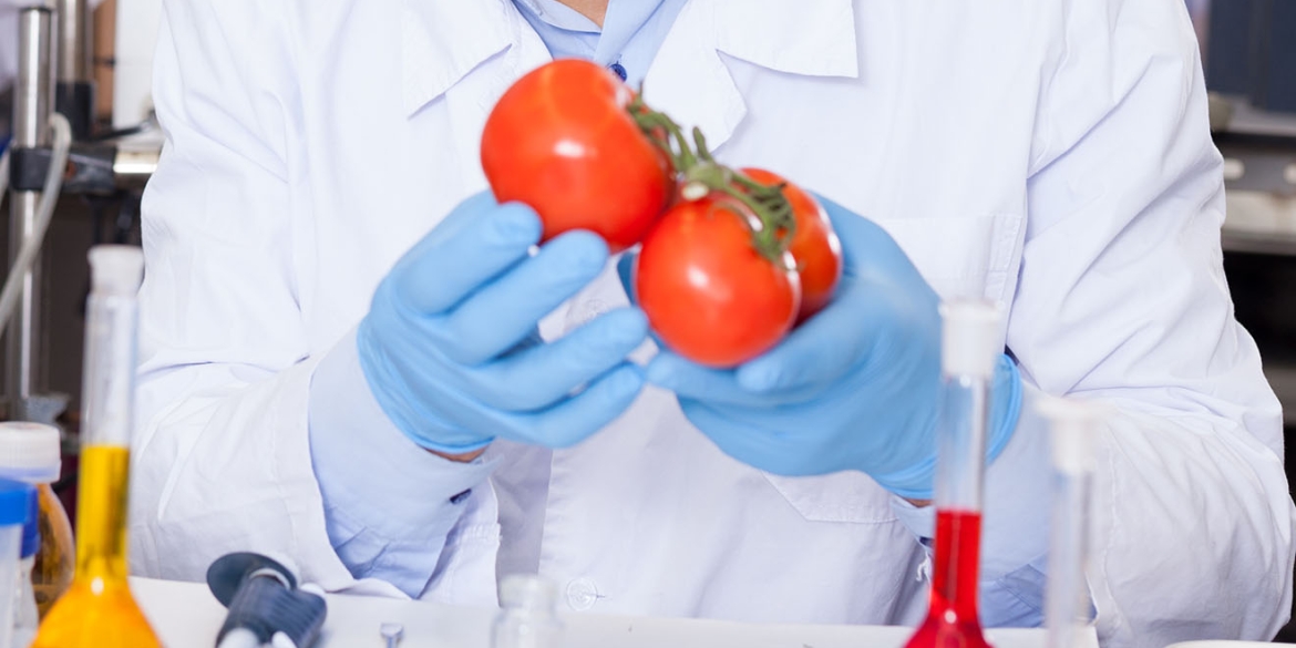 Вінницьких школярок навчали виділяти ДНК з овочів та фруктів