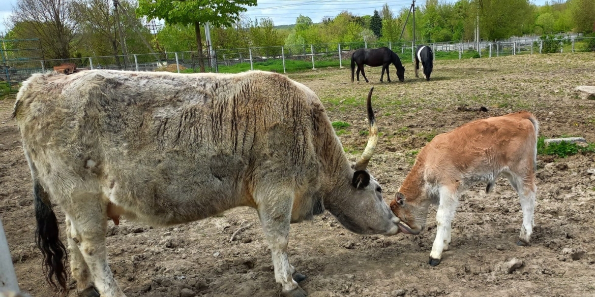 Вінницький “Подільський зоопарк” з 22 травня підвищує ціни на квитки 