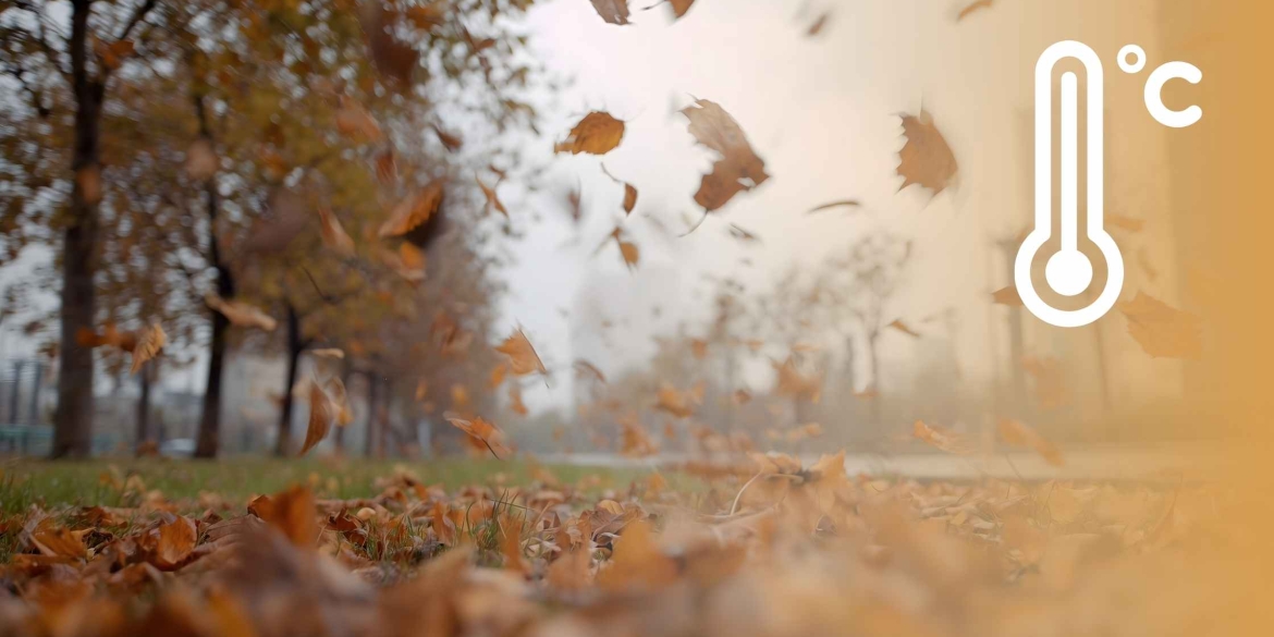 Вінничан попереджають про сильні пориви вітру 26 листопада