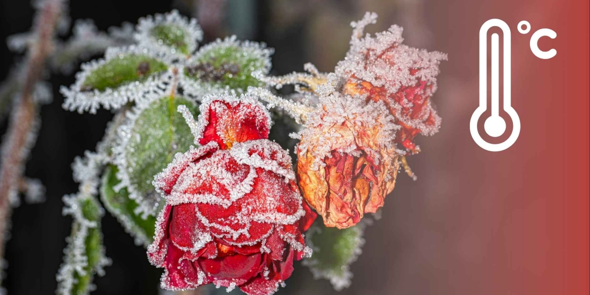 Вінничан попереджають про туман і ожеледицю на дорогах