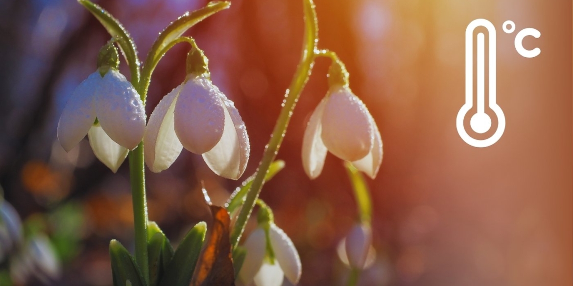 Вінничани насолоджуються теплом, але синоптики попереджають про похолодання