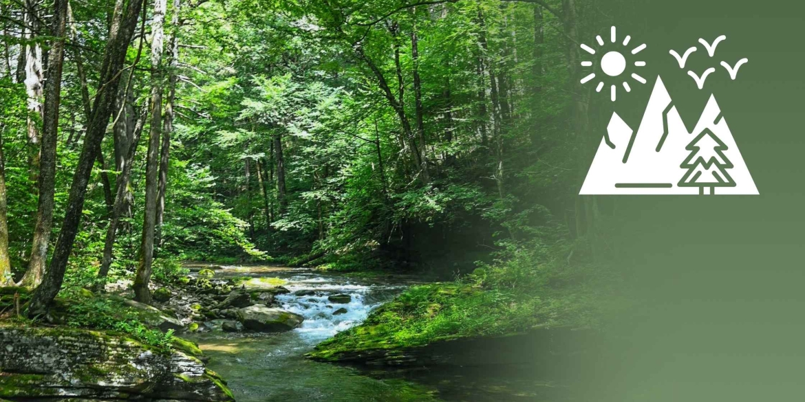 Вінниччина - лідер серед областей зі створення природно-заповідних територій