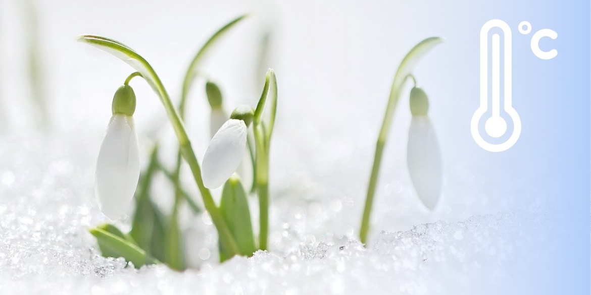 Вінниччину засипле снігом Синоптики це спростовують!