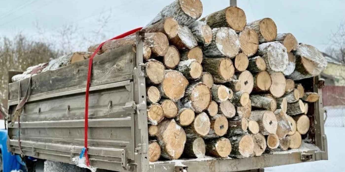 Вінницька область у ТОП-10 регіонів, де найбільше закуповують дрова
