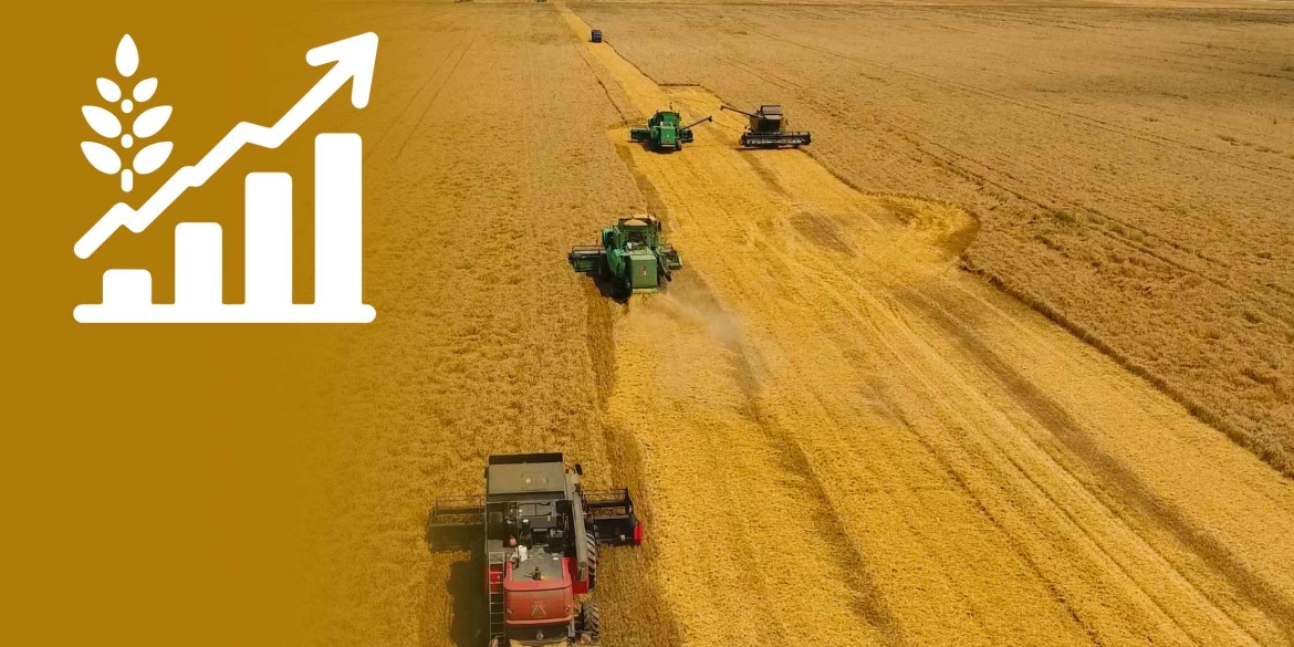 Вінницькі аграрії зібрали майже 8% врожаю ранніх зернових