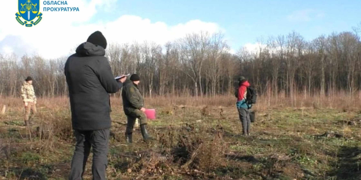 Вінницькі прокурори повідомили про підозру посадовцям, які незаконно вирубували дерева у Летичівському лісогосподарстві