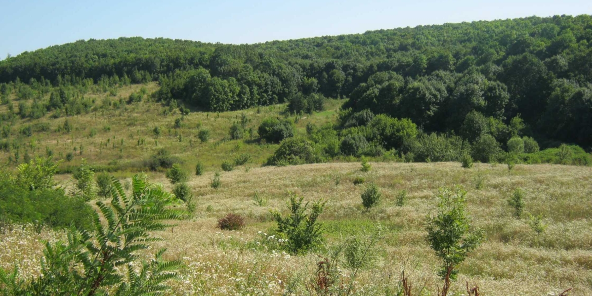 Вінницькі прокурори працюють над поверненням «Кармелюкового Поділля» державі