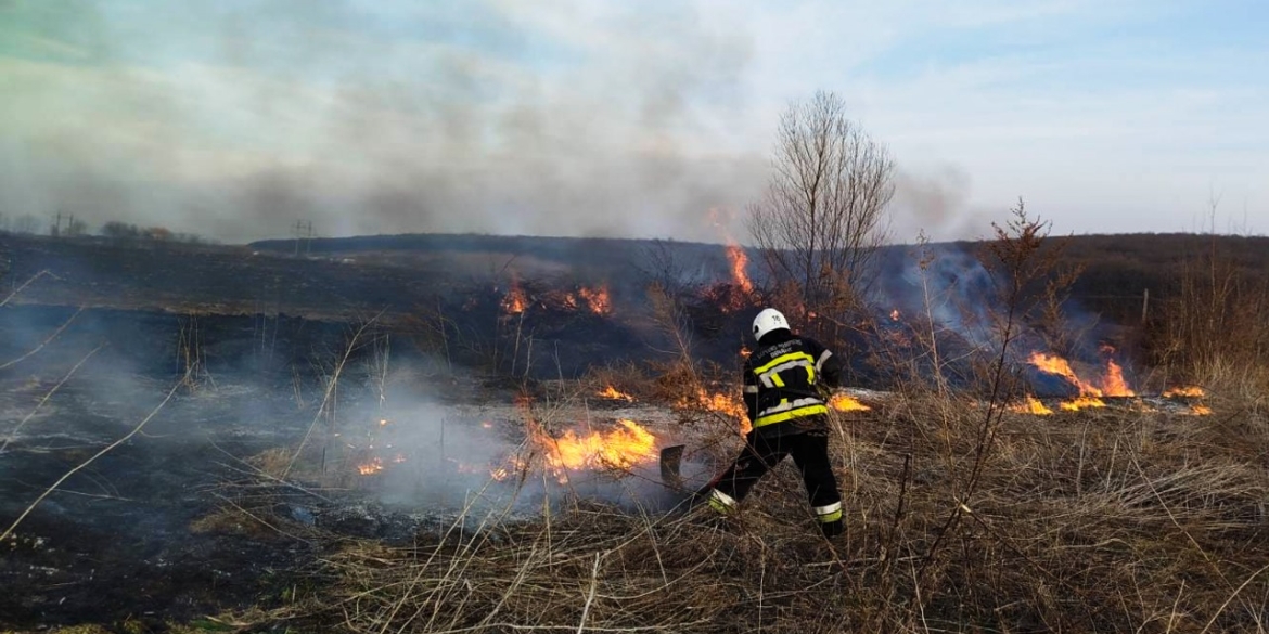 Вінницькі рятувальники ліквідували 83 пожежі в природних екосистемах області