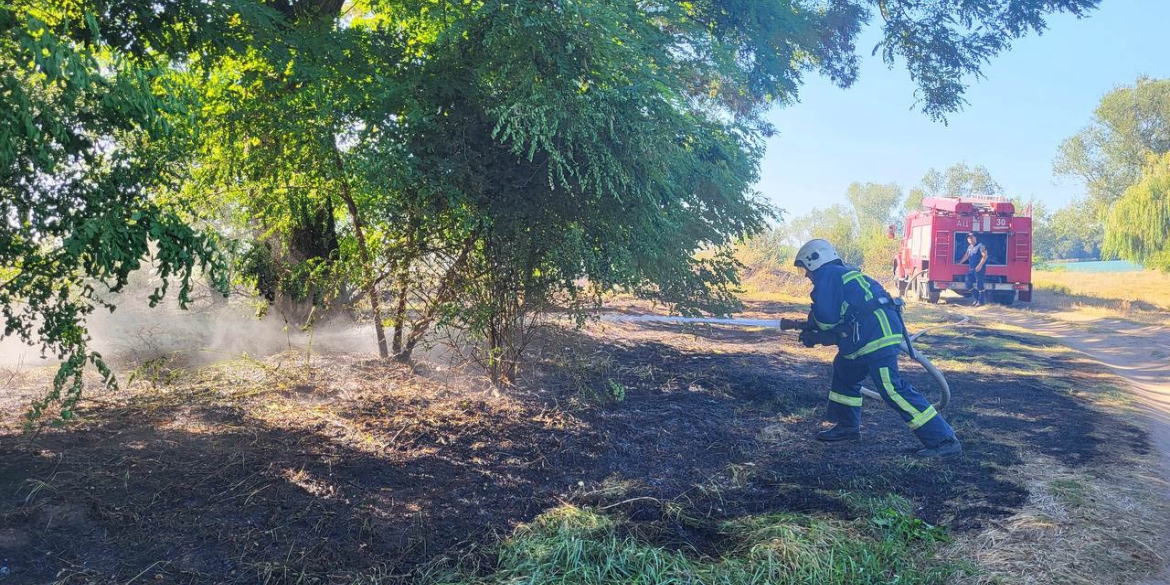 Вінницькі рятувальники ліквідували загоряння на площі понад 15 гектарів