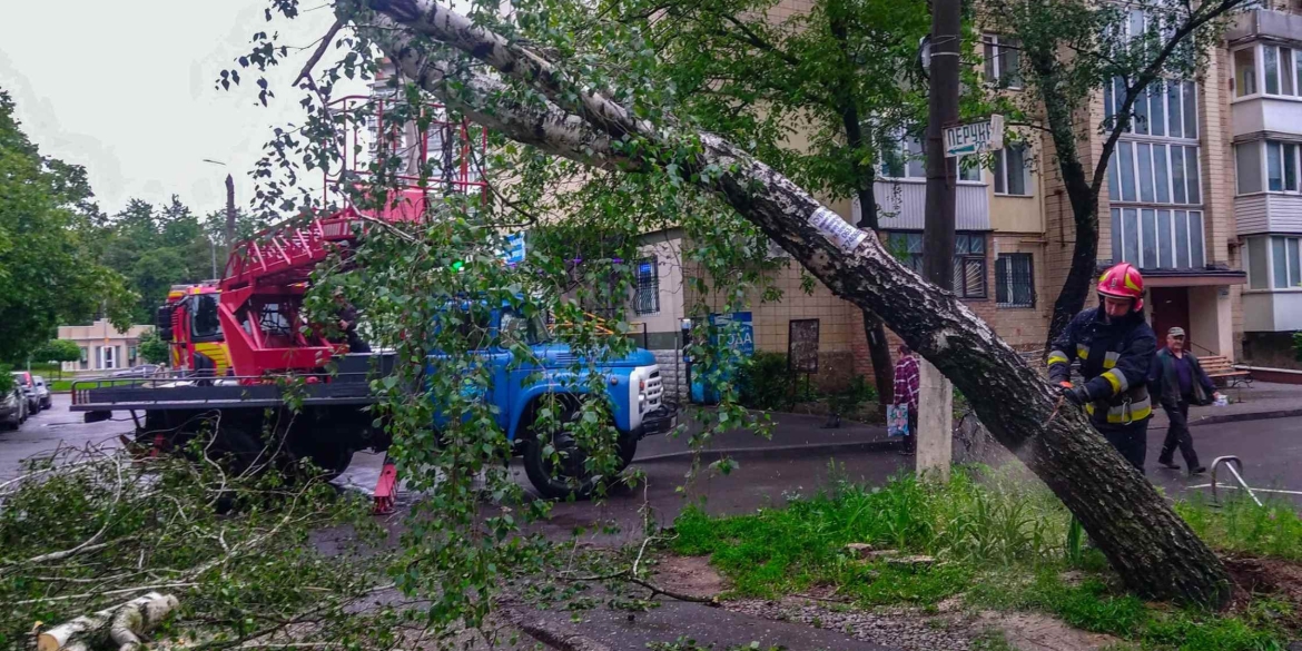 Вінницькі рятувальники прибирали повалені дерева з доріг та припаркованих авто