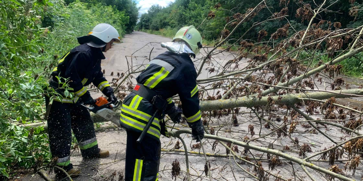 Вінницькі рятувальники шість разів виїжджали розкряжовувати повалені вітром дерева