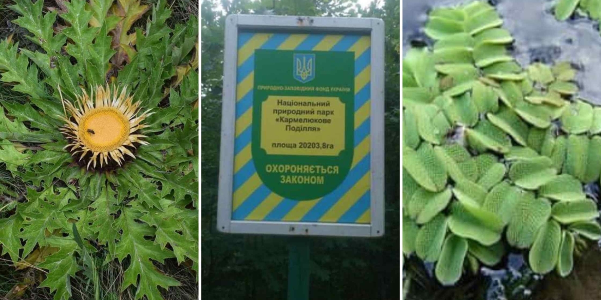 Вінницький національний парк «Кармелюкове Поділля» суттєво розширять