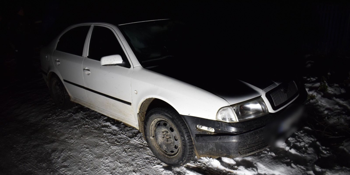 Вінницький водій, який ремонтував автобус на трасі, загинув під колесами Skoda Octavia