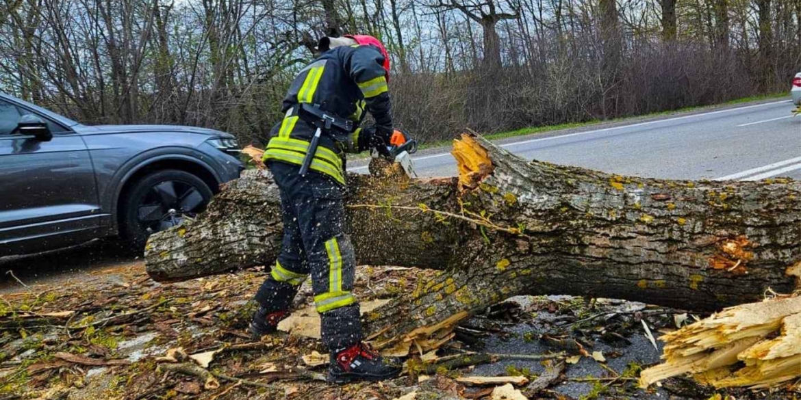 Вітер наробив лиха на Вінниччині де саме розчищали дороги від завалів