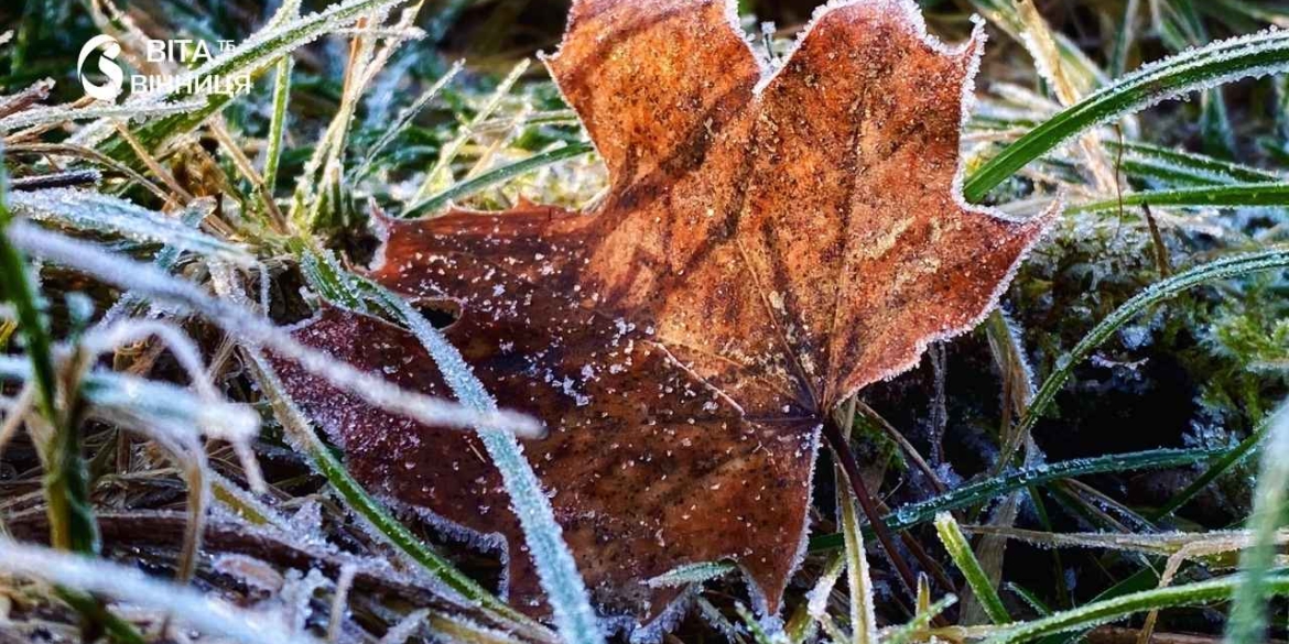 Вночі заморозки на ґрунті, а вдень до +20° синоптики дали прогноз для Вінниччини