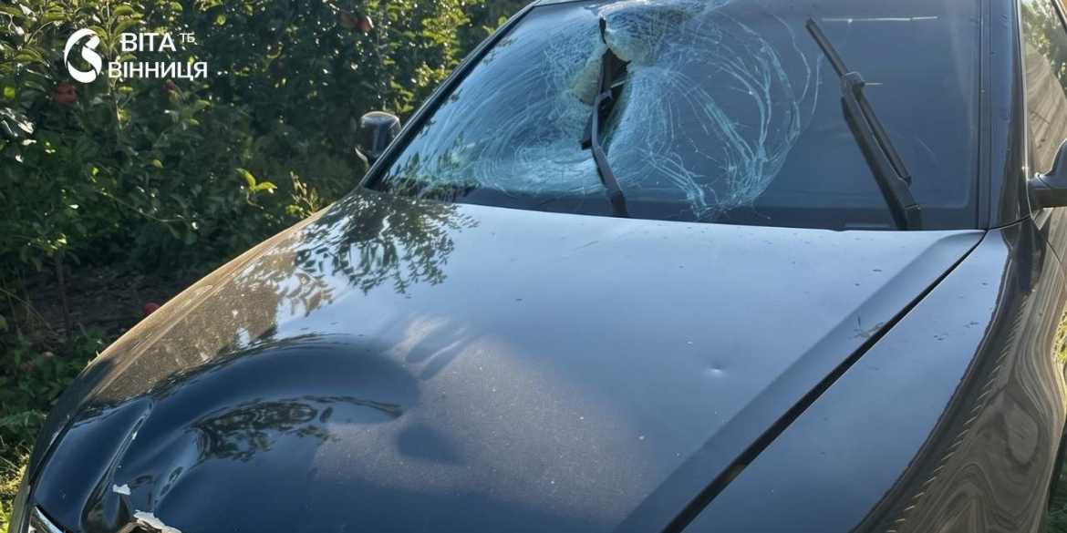 Водія, який збив двох жінок й зник з місця аварії під Немировом, розшукали й затримали