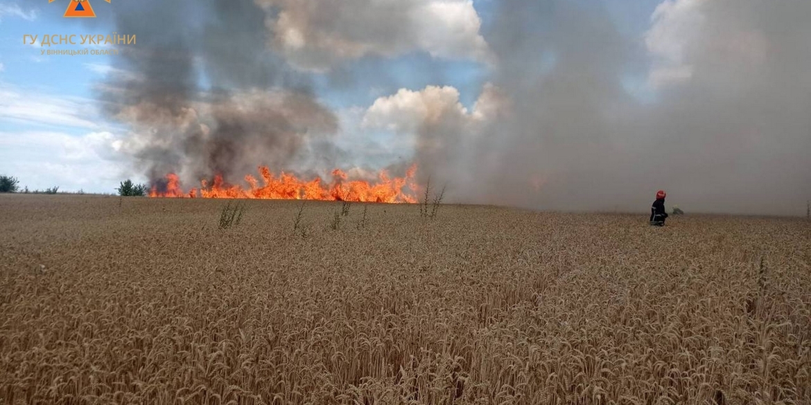 Вогняні жнива на Вінниччині в полі загорівся зернозбиральний комбайн 
